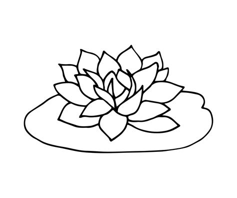 Simple doodle hand drawn vector drawing. Lotus flower, water lily in ...