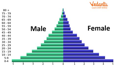 Population Pyramid - Structure, Types, and Uses