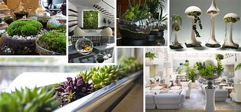 Indoor Gardening Ideas to Beautify Your Space | Decoist