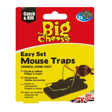 The Big Cheese Mouse trap, Pack of 2 | Departments | DIY at B&Q