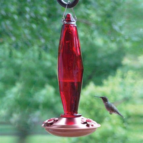 WoodLink Glass Hummingbird Feeder at Lowes.com