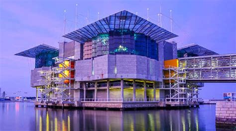 Oceanário de Lisboa - O segundo maior aquário da Europa