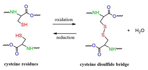 Reactions of Thiols - Chemistry Steps