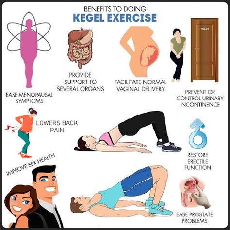 Your Guide to Kegel and Other Pelvic Floor Exercises - Pratisandhi