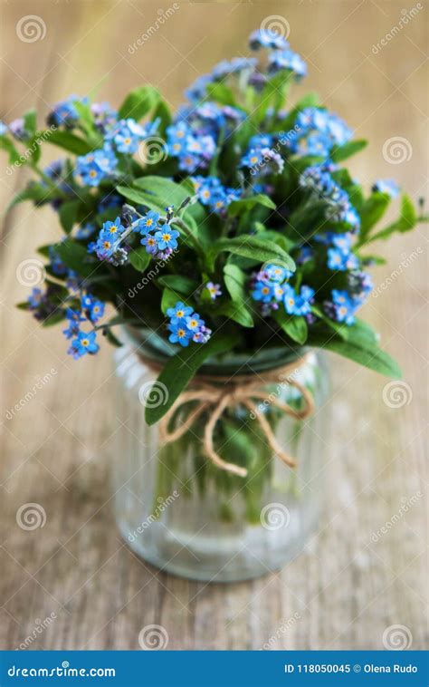 Bouquet of forget me nots stock image. Image of freshness - 118050045