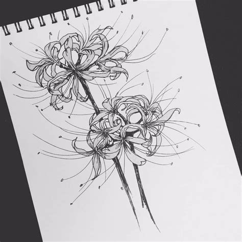 flowers from anime ‘Tokyo ghoul’ lycoris radiata | Lilies drawing ...