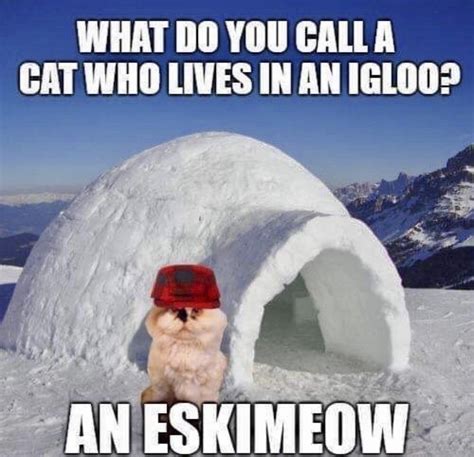 Snow Way! The Ultimate Snow Memes for Some Seriously Frosty Laughs ...