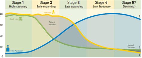 What is the Demographic Transition Model? - Population Education