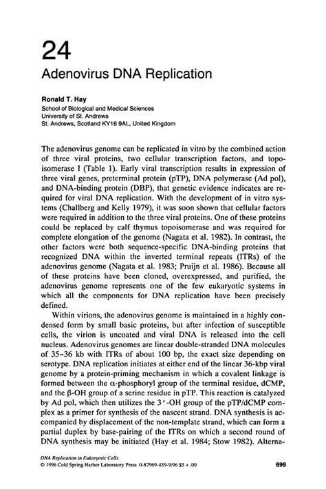 (PDF) Adenovirus DNA replication