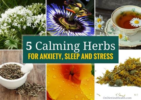 5 Calming Herbs for Anxiety, Sleep and Stress