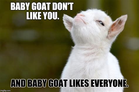 Image tagged in proud baby goat - Imgflip