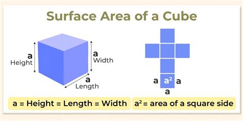 Surface Area of Cube | Curved & Total Surface Area, Examples & Formula