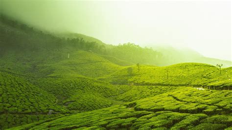 Munnar Wallpapers - Wallpaper Cave