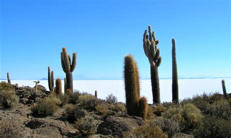 Uyuni Salt Flats - what to see and do - Bohemianhag.com