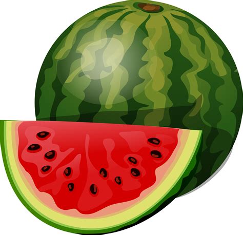 Fruiting Clipart Watermelon - Clipart Of Watermelon Png Transparent Png ...