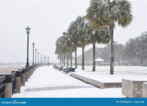 2018 Snowstorm in Charleston, SC Editorial Photo - Image of park ...