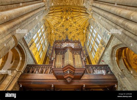 Organ and vaulted ceiling in the North Transept inside Sherborne Abbey ...