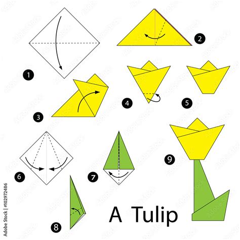 step by step instructions how to make origami tulip. Stock Vector ...