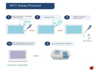 Principles & Applications of cell viability assays (MTT Assays) | PPT