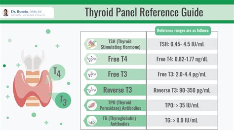 What Are Optimal Thyroid Levels & How To Achieve Them?