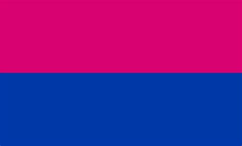 Image - Cisgender flag.jpeg | LGBT Encyclopedia Wikia | FANDOM powered ...