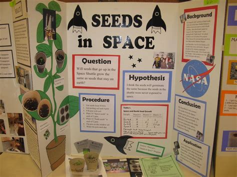 2nd Grade Science Projects With Hypothesis