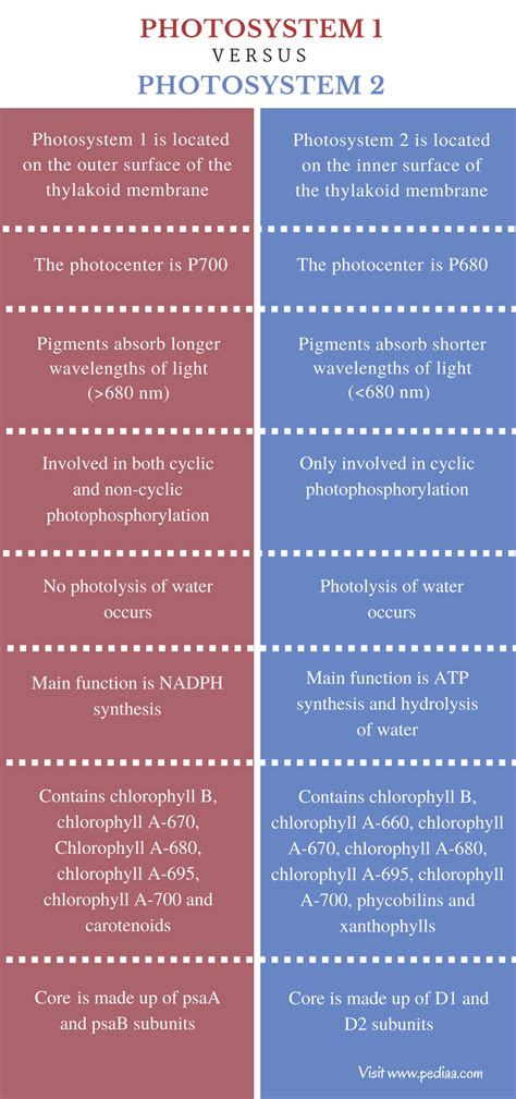 Difference Between Photosystem 1 and 2 - Comparison Summary Infographic