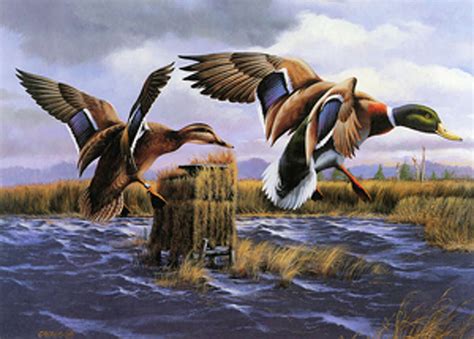 CT duck stamps: Iconic waterfowl art, saves wetlands