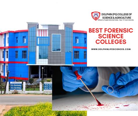 Best Forensic Science Colleges | Forensic science, Forensics, Science