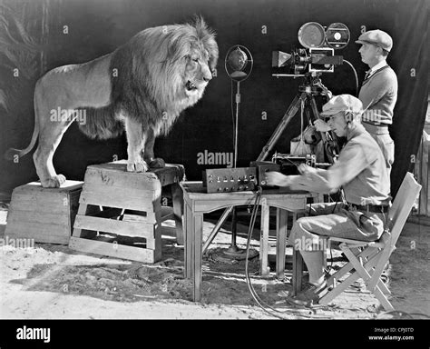 Lion of Metro-Goldwyn-Mayer, 1929 Stock Photo - Alamy