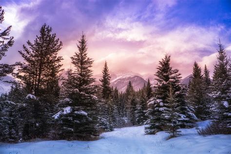 nature, Landscape, Forest, Winter, Mountain, Clouds, Snow, Pine Trees ...