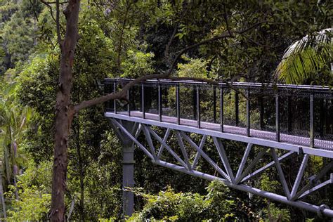 Tamborine Rainforest Skywalk, Mount Tamborine