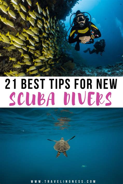 Scuba Diving Tips for Beginners