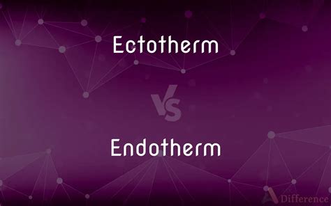 Ectotherm vs. Endotherm — What’s the Difference?