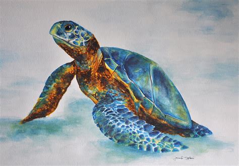 Sea Turtle Watercolor Paintings