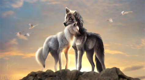 Wolves Love, HD Artist, 4k Wallpapers, Images, Backgrounds, Photos and ...