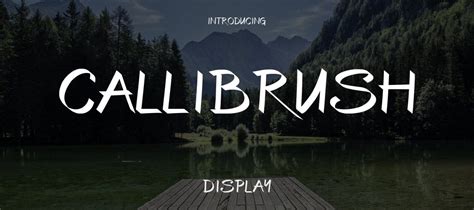 CalliBrush Font Download | Free Font.Download