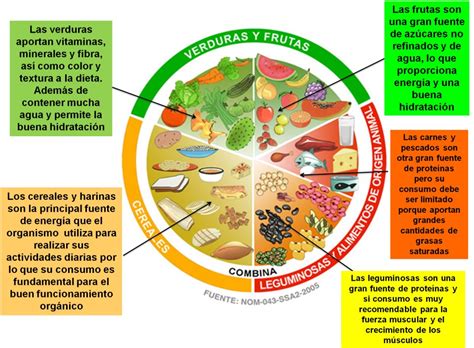 Beneficios del plato del bien comer| Salud180