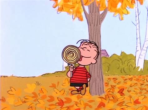 Peanuts images Linus HD wallpaper and background photos (40613457)