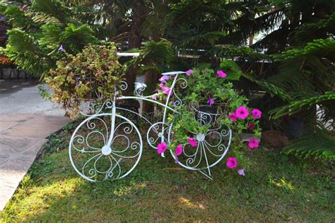 Flowers in basket bike stock image. Image of colourful - 47618165