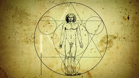 animation sketch vitruvian man by leonardo Stock Footage Video (100% ...