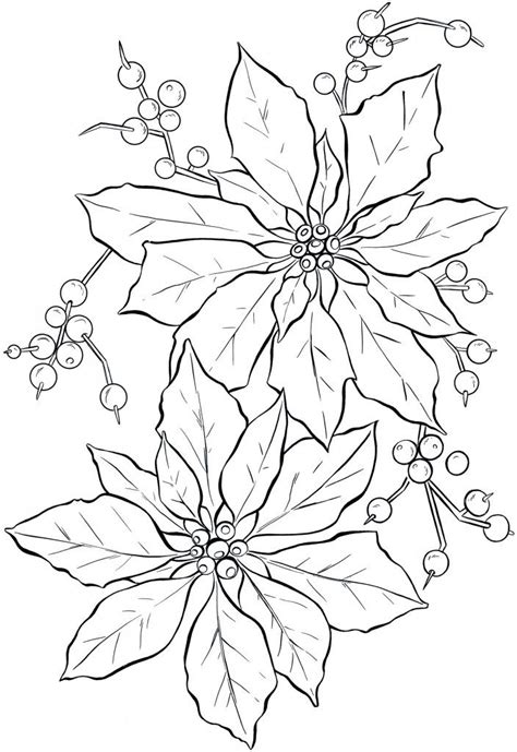 12+ Poinsettia Clipart! | Christmas coloring pages, Christmas drawing ...