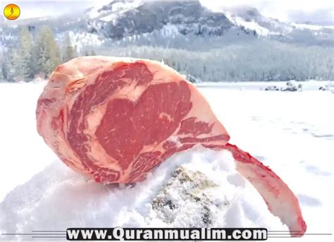 Can You Eat Elephant Meat? What You Need To Know - Quran Mualim