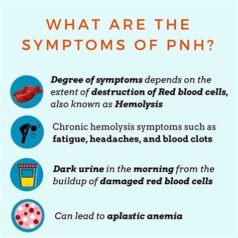 Here's what you need to know about the most common symptoms of ...