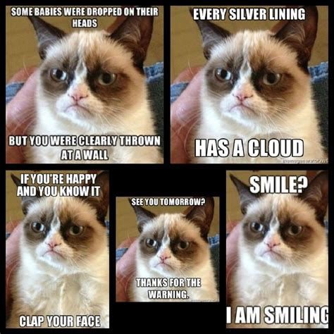 Grumpy Cat No Meme Grumpy Cat Quotes, Funny Grumpy Cat Memes, Cat ...