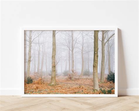 Misty Forest Photography Print Landscape Photography Print - Etsy