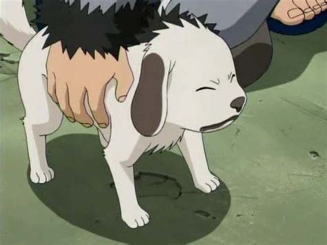 Akamaru