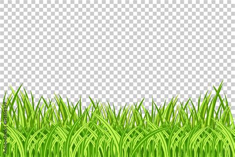 Grass Border. Vector Illustration. Realistic isolated green grass ...