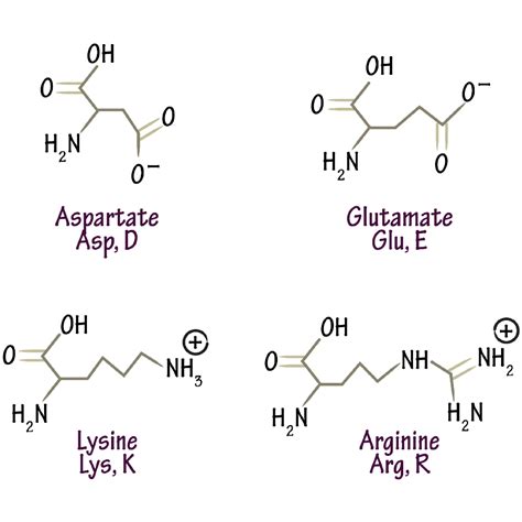 Lysine Structure Charged