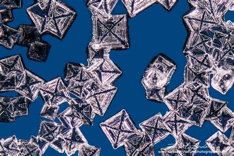 Crystals Photographed with Polarization Microscopy - The Canadian ...